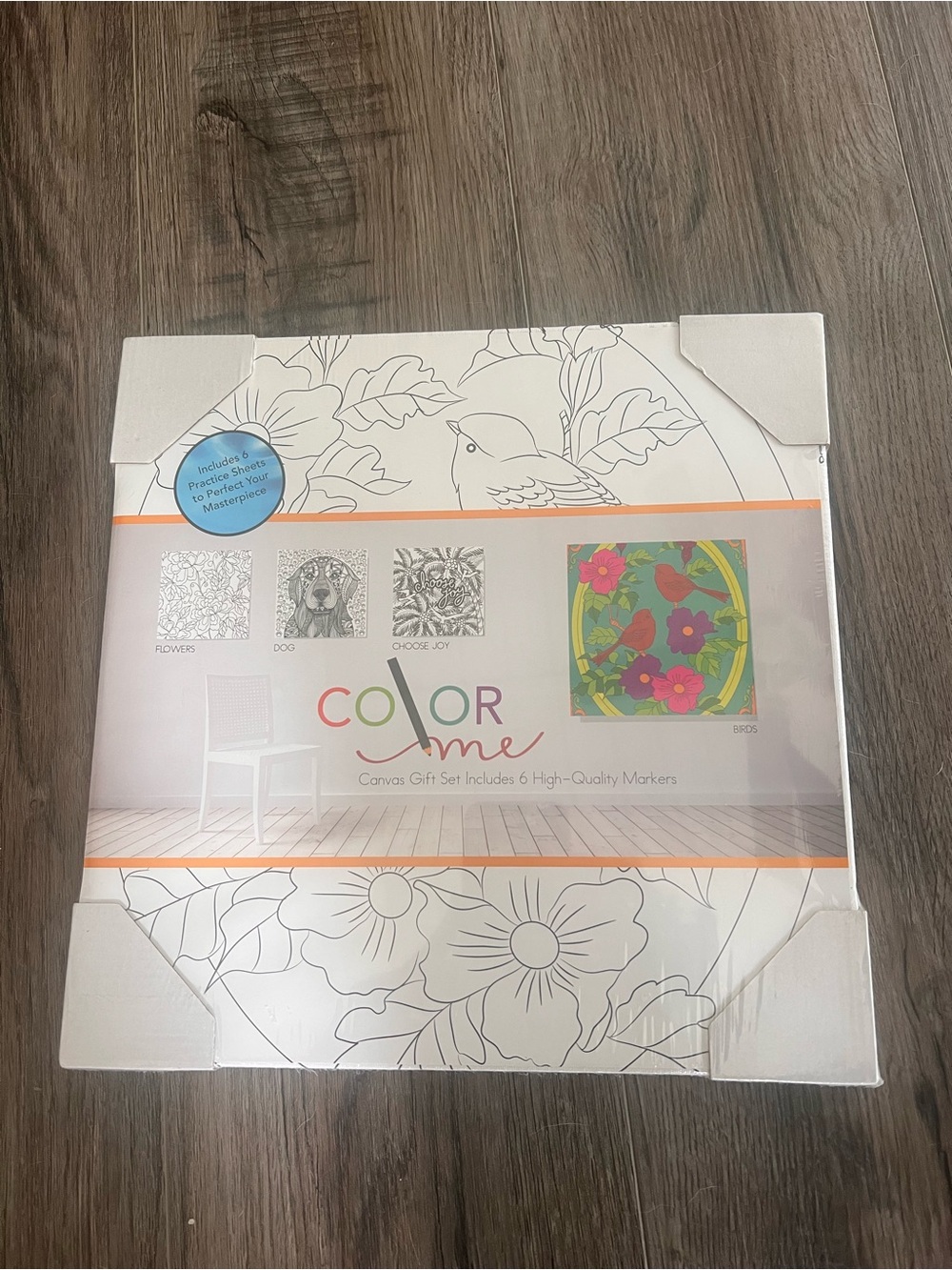 Color Me Canvas Floral Wall Art Kit Birds Flowers New